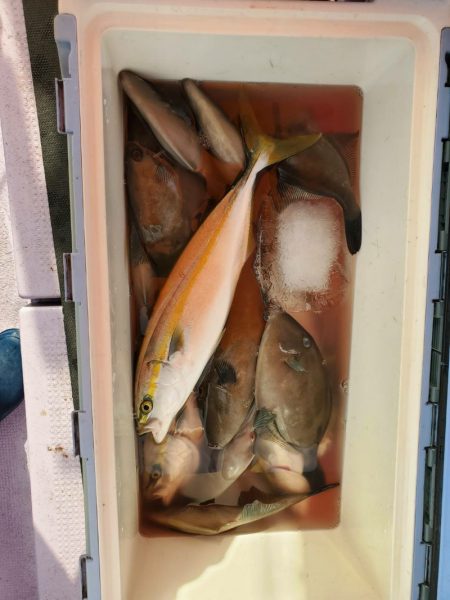 海龍丸（石川） 釣果