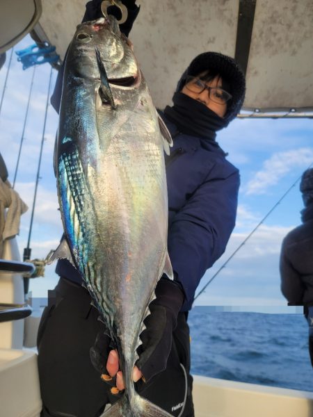 ソルトウォーターガイドフレンズ 釣果