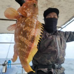 ソルトウォーターガイドフレンズ 釣果