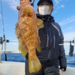 ソルトウォーターガイドフレンズ 釣果