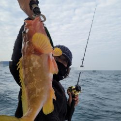 ソルトウォーターガイドフレンズ 釣果