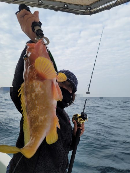 ソルトウォーターガイドフレンズ 釣果