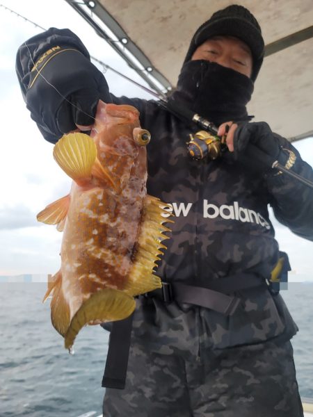 ソルトウォーターガイドフレンズ 釣果