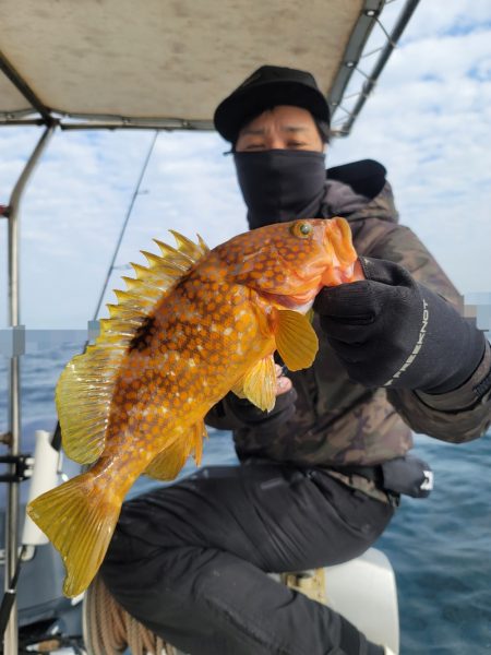 ソルトウォーターガイドフレンズ 釣果