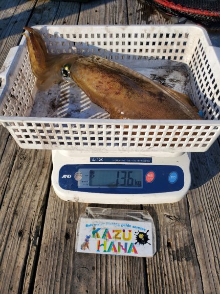 一華丸 釣果