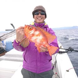 エンペラー 釣果