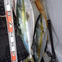 第二龍勢丸 釣果