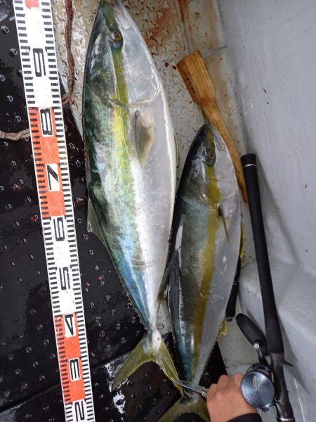 第二龍勢丸 釣果