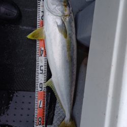 第二龍勢丸 釣果