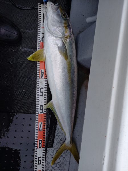 第二龍勢丸 釣果