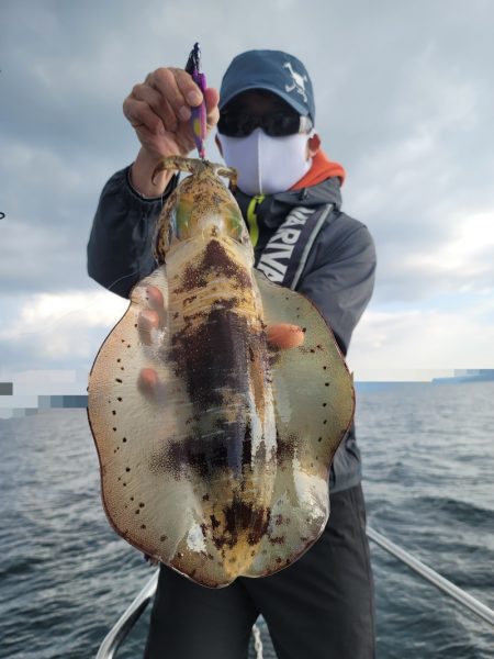 ソルトウォーターガイドフレンズ 釣果