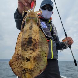 ソルトウォーターガイドフレンズ 釣果