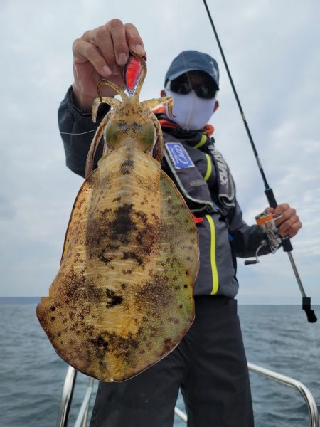 ソルトウォーターガイドフレンズ 釣果