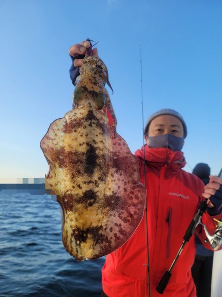 ソルトウォーターガイドフレンズ 釣果