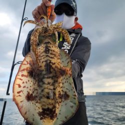 ソルトウォーターガイドフレンズ 釣果