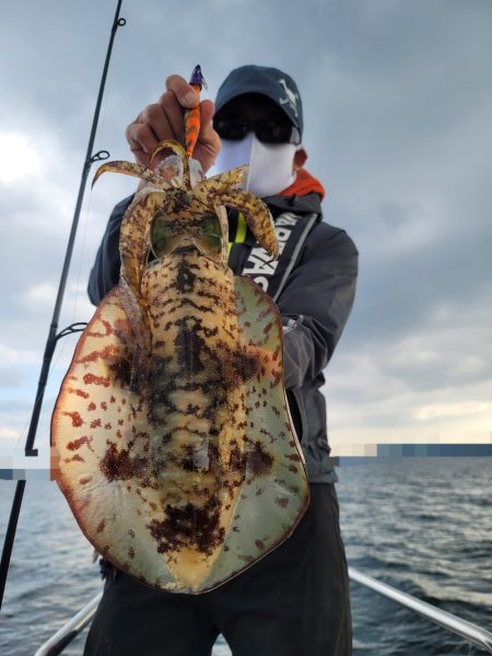 ソルトウォーターガイドフレンズ 釣果