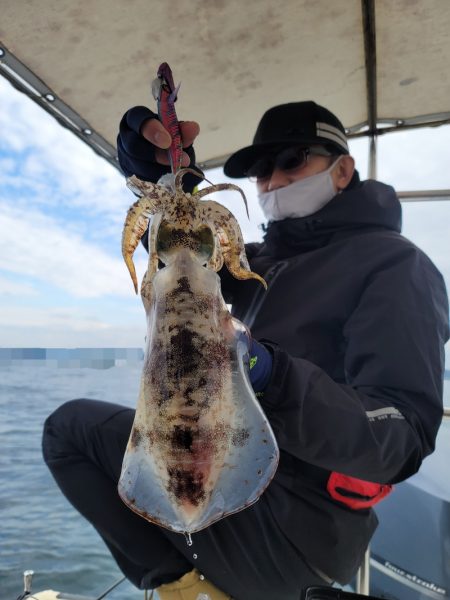 ソルトウォーターガイドフレンズ 釣果