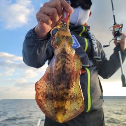 ソルトウォーターガイドフレンズ 釣果