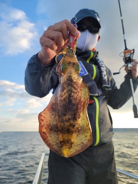 ソルトウォーターガイドフレンズ 釣果