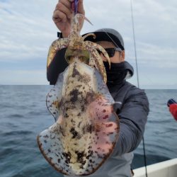 ソルトウォーターガイドフレンズ 釣果