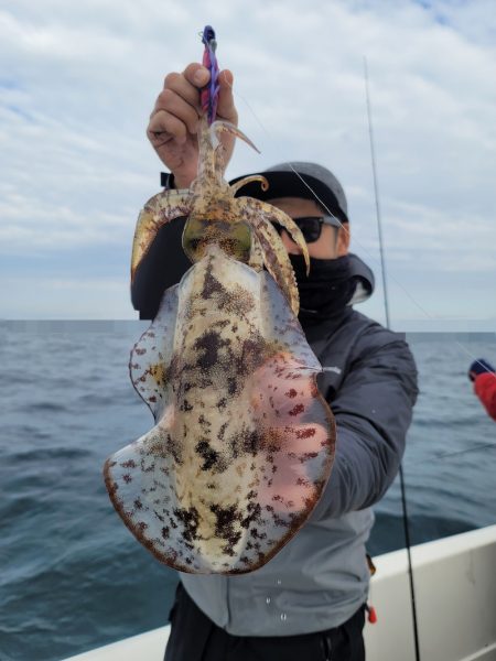 ソルトウォーターガイドフレンズ 釣果