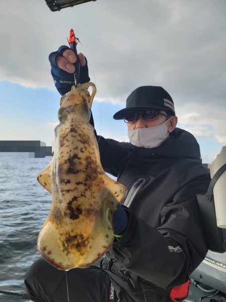 ソルトウォーターガイドフレンズ 釣果