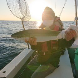 エンペラー 釣果