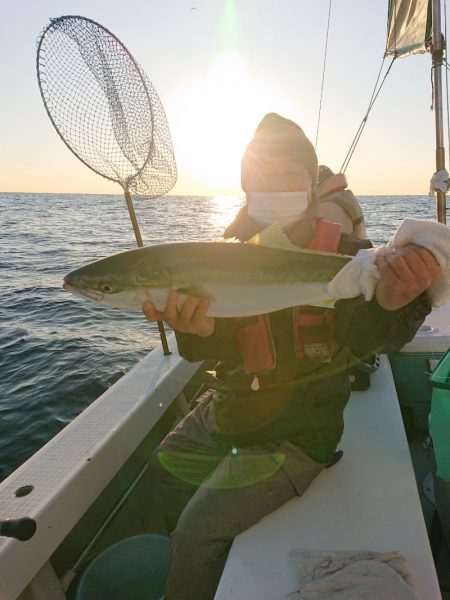 エンペラー 釣果