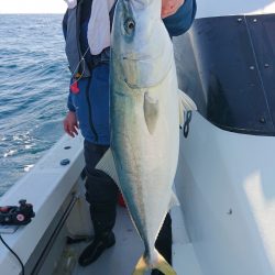 エンペラー 釣果