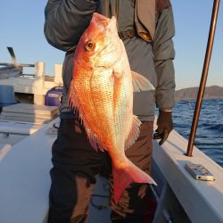 エンペラー 釣果