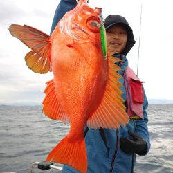 鷹王丸 釣果
