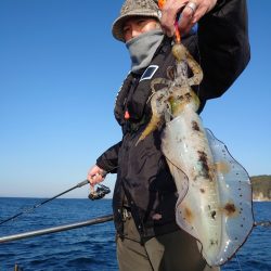 ブルースフィッシングサービス 釣果