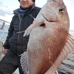 シーライオン 釣果