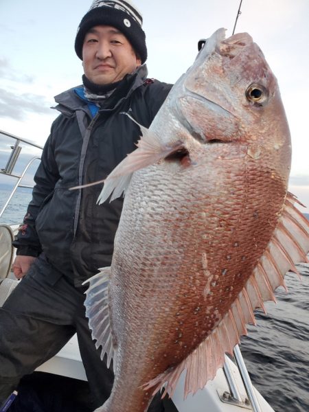 シーライオン 釣果
