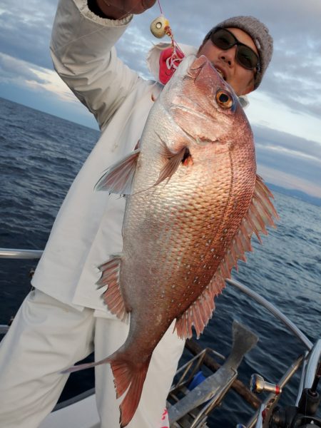 シーライオン 釣果