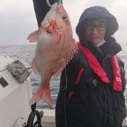 ARCADIAⅡ （アルカディアⅡ） 釣果