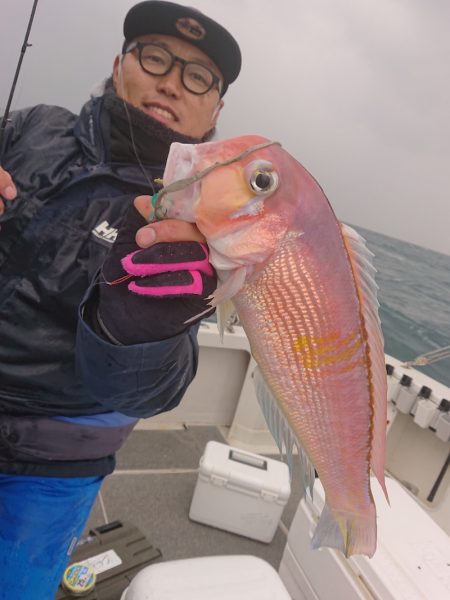 ARCADIAⅡ （アルカディアⅡ） 釣果