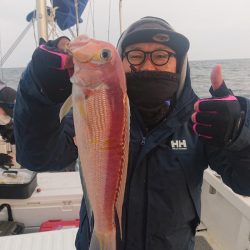 ARCADIAⅡ （アルカディアⅡ） 釣果