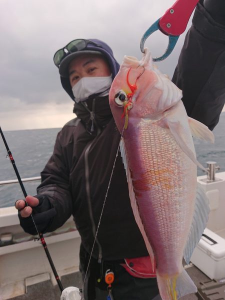 ARCADIAⅡ （アルカディアⅡ） 釣果