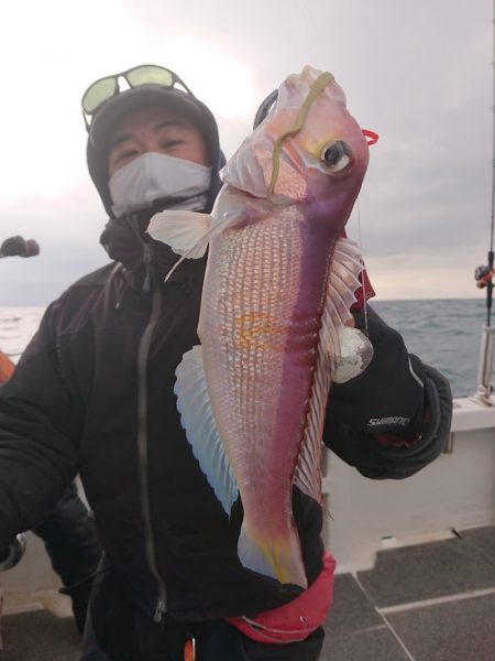 ARCADIAⅡ （アルカディアⅡ） 釣果