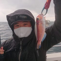 ARCADIAⅡ （アルカディアⅡ） 釣果