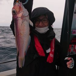 ARCADIAⅡ （アルカディアⅡ） 釣果