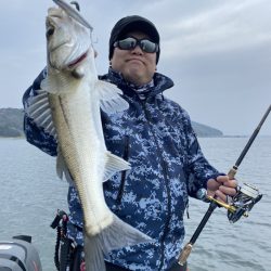 アマテラス 釣果