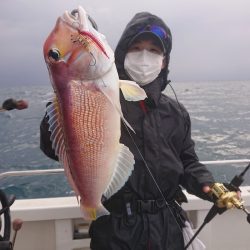 ARCADIAⅡ （アルカディアⅡ） 釣果