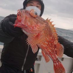 ARCADIAⅡ （アルカディアⅡ） 釣果