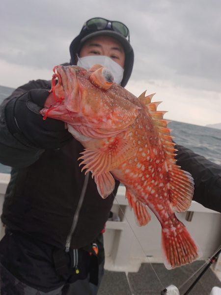 ARCADIAⅡ （アルカディアⅡ） 釣果