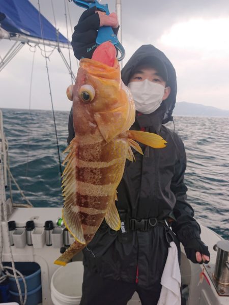 ARCADIAⅡ （アルカディアⅡ） 釣果