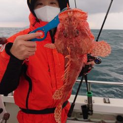 ARCADIAⅡ （アルカディアⅡ） 釣果