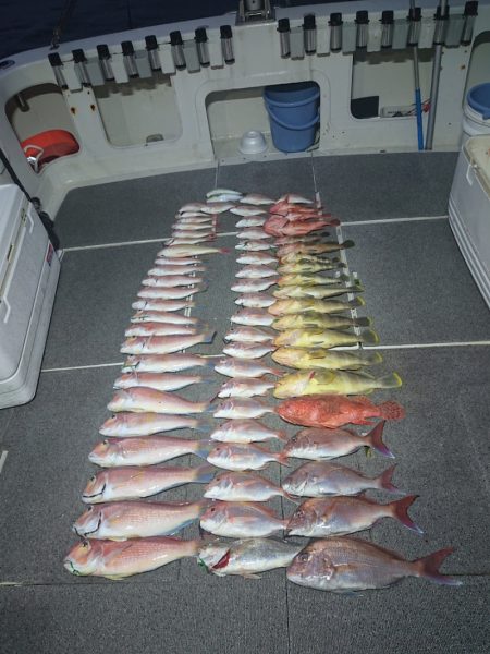 ARCADIAⅡ （アルカディアⅡ） 釣果