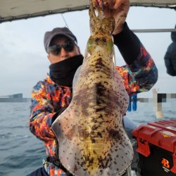 ソルトウォーターガイドフレンズ 釣果